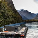 NZL STL MilfordSound 2018MAY03 050 : - DATE, - PLACES, - TRIPS, 10's, 2018, 2018 - Kiwi Kruisin, Day, May, Milford Sound, Month, New Zealand, Oceania, Southland, Thursday, Year